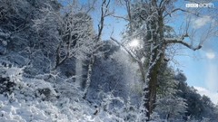 风雪之中