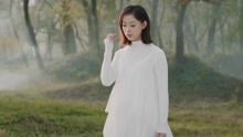 叶炫清 - 从前慢