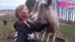 爱的奉献