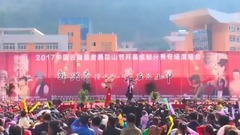 凤凰传说