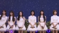 新专介绍及恳答