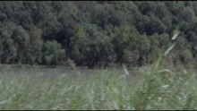 Tyminski - Wanted