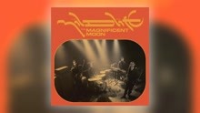 Mildlife - The Magnificent Moon
