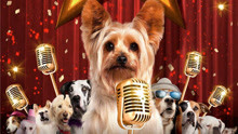 电影《萌犬好声音》预告片