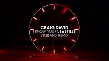 I Know You (Vigiland Remix) (Audio)
