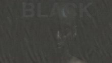 Buddy - Black (Audio)