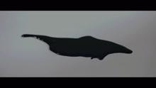 The Ruby (official video)