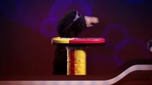Alles ist Pop (Videoclip)