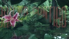 Bailar Contigo (Video Oficial)