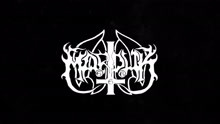 Werwolf (lyric video)