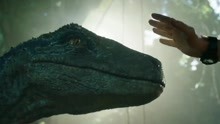 《侏罗纪世界：殒落国度》