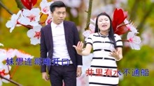  - 贵州山歌不怕树大叶招风