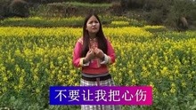  - 贵州山歌：我在网络遇见你