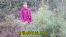  - 云南山歌：哥是一个会泽人