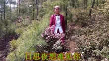  - 云南山歌：巧家小妹等情郎