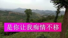  - 伤感歌曲《苦涩的爱》