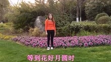  - 云南山歌：鲜花绿叶长相伴