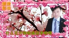  - 云南山歌：十二月猜花