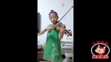 小提琴天空之城演奏