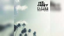 Flying Illusion (Audio)