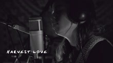 Harvest Love (Live Lounge Recording)
