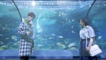  - 《来自海洋的你》片尾曲