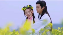  - 《双世宠妃》原声带插曲