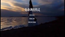  - 青海湖的精灵