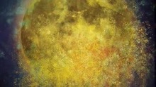 Nell - Nell - WHITE NIGHT