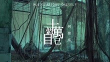 十万个自己