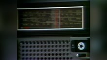Portable Radio