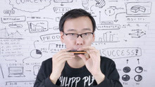能听出来这是两只老虎吗