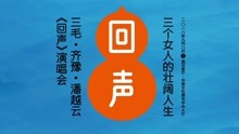 齐豫,潘越云 - 齐豫潘越云《回声》演唱会宣传