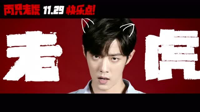 两只老虎