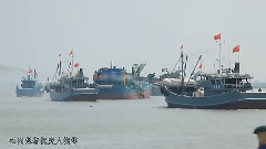 痴情泉州港
