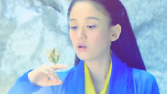 一生所爱