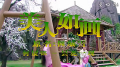 昙花一现