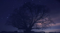 静谧之空