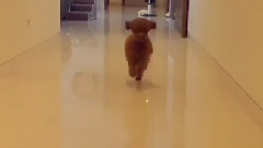 少女时代 - 崔秀英Instagram 更新Cut