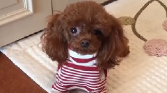 少女时代 - 金孝渊Instagram 更新Cut