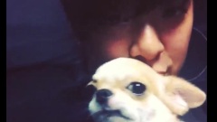 Instagram更新