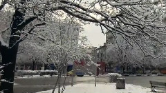 Недей сърце