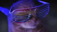 Swagger