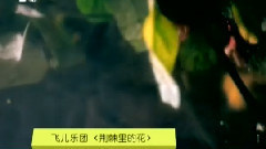 飞儿乐团 - 荆棘里的花 MTV版