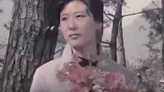 影视原声 - <天云山传奇>
