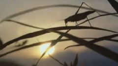 悲しみの果て