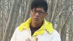 闯码头