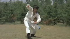 醉剑
