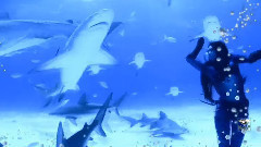 Blue Ocean