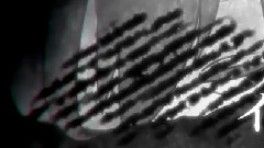 初音未来 - パラドックスレイン
